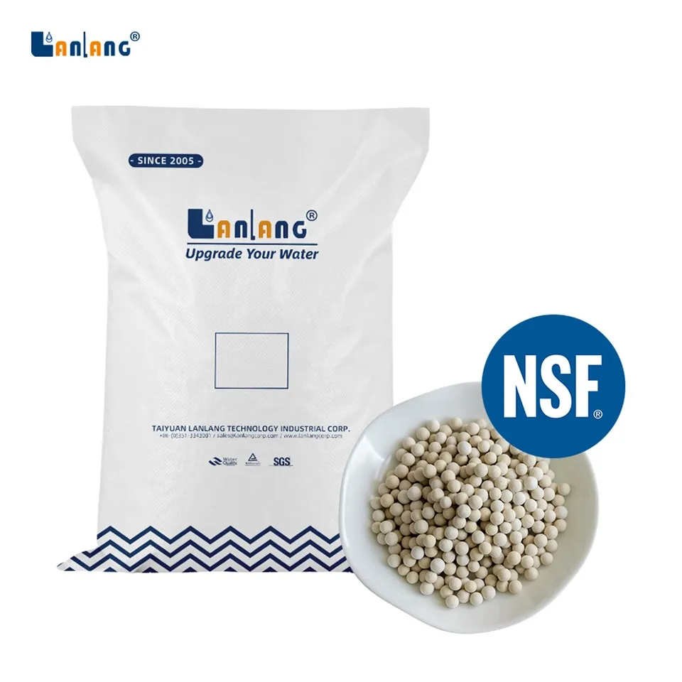 Meta-silisik Asit Biyo Seramikleri